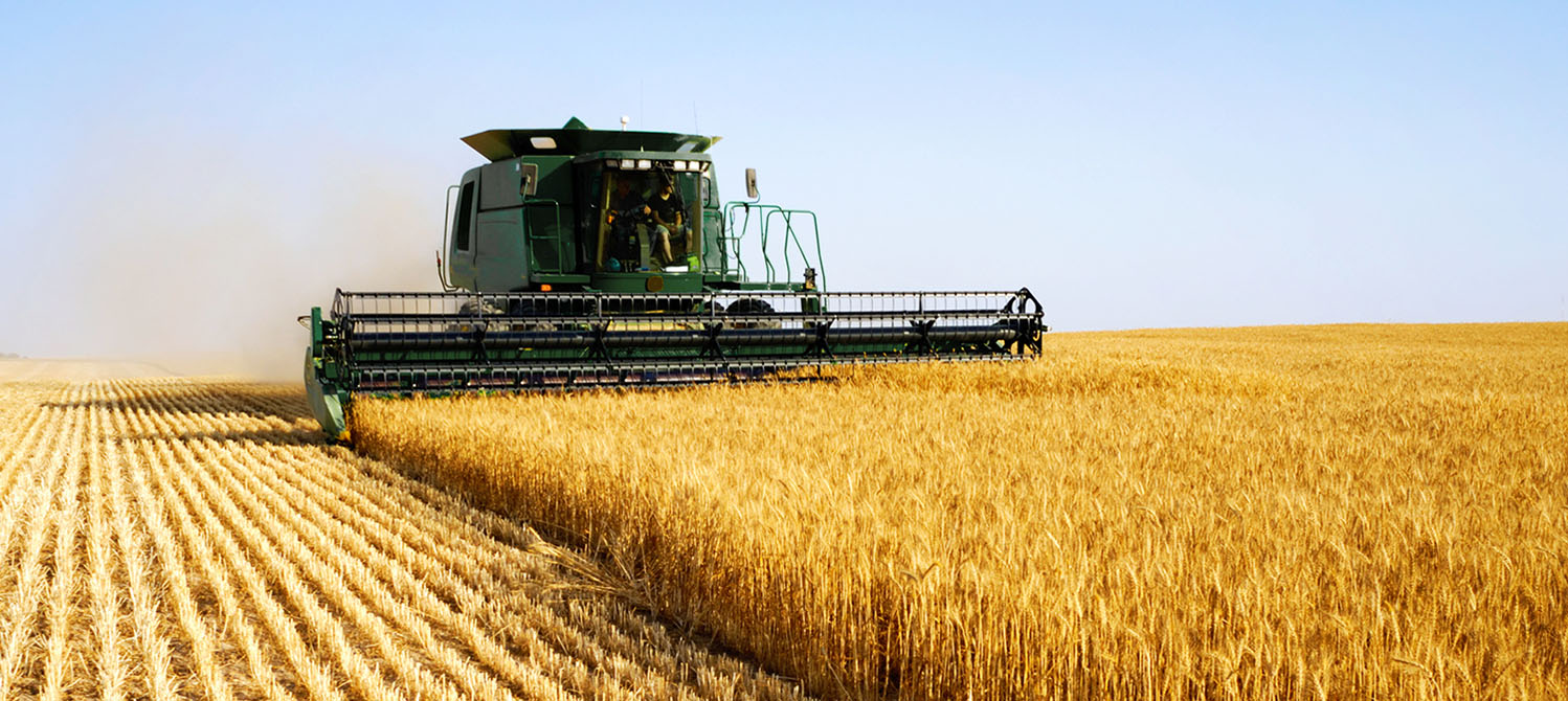 Photo of combine in grain field