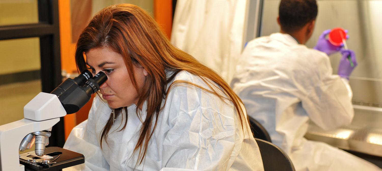 Photo of phlebotomy students using lab equipment