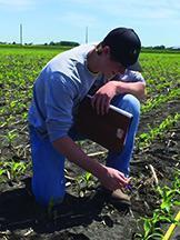 agInternship3